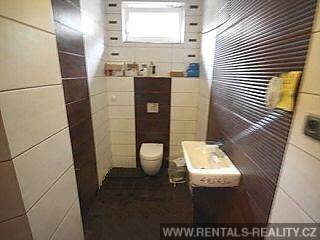 Pic 11