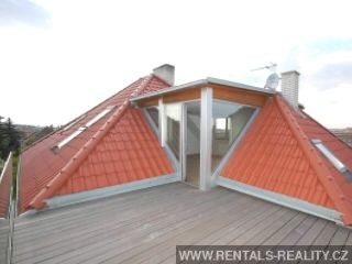 Pic 16
