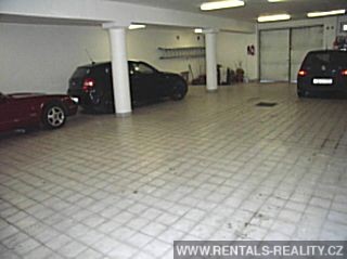 Pic 6