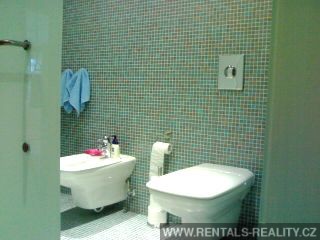 Pic 8